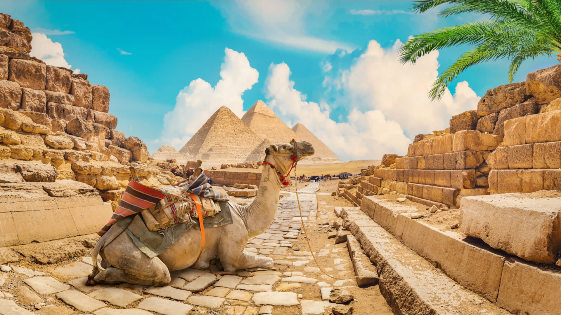 Egypt excursions with the Pyramids of Giza and desert landscape
