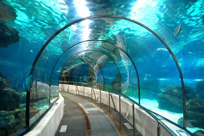 Grand Aquarium Hurghada - Underwater Odyssey