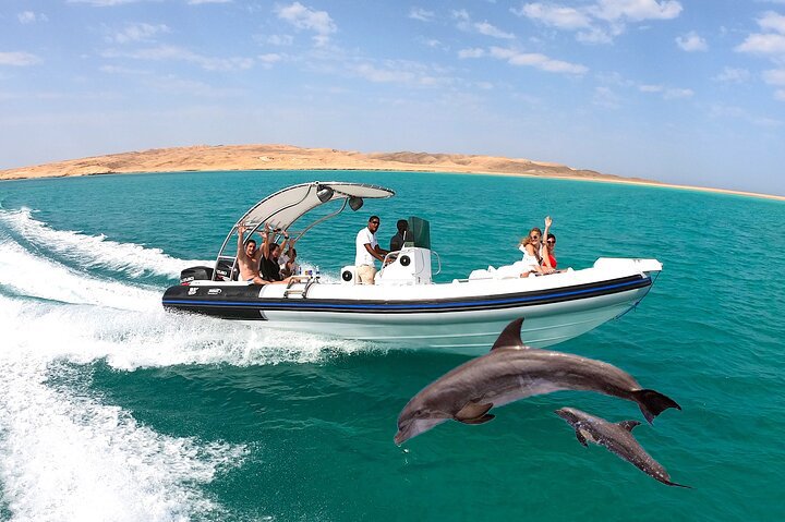 Private Hurghada SpeedBoat Tour to Dolphin House
