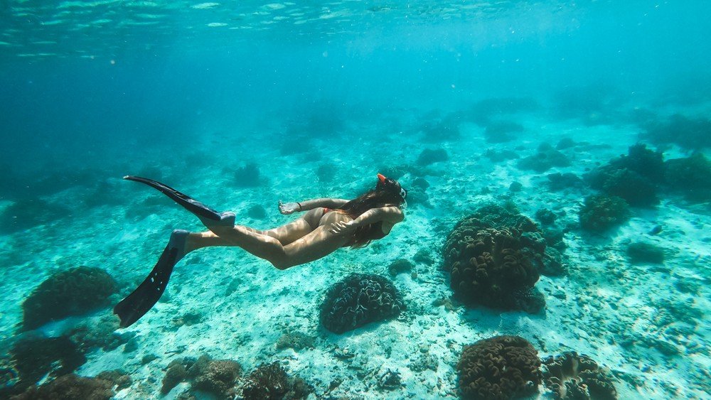Sharm el Luli Snorkeling