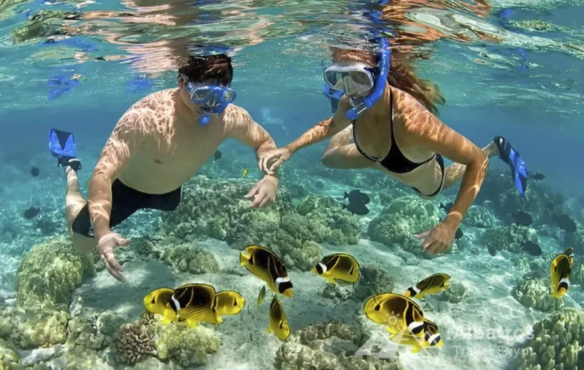 Sharm el Naga Snorkeling - Marsa Alam's Aquatic Gem
