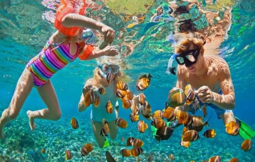 Sharm el Naga Snorkeling Trip  - Discover Underwater Marine Gems