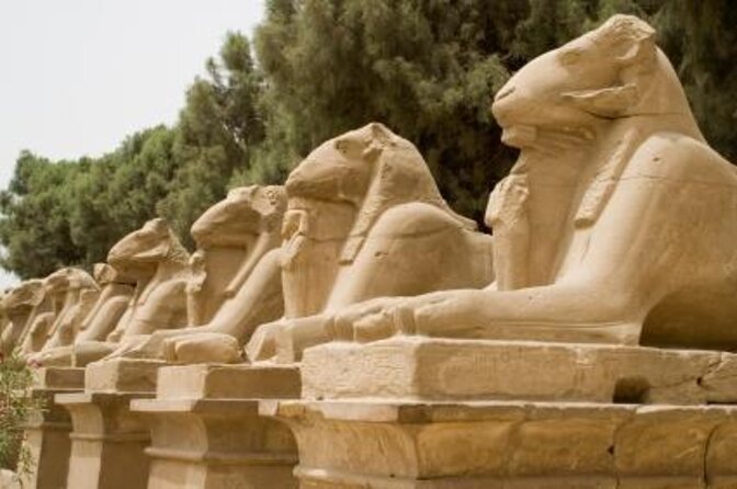 Avenue of Sphinxes Visit - icon