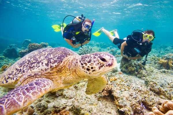 Intro Diving in Marsa Alam - Dive into Adventure