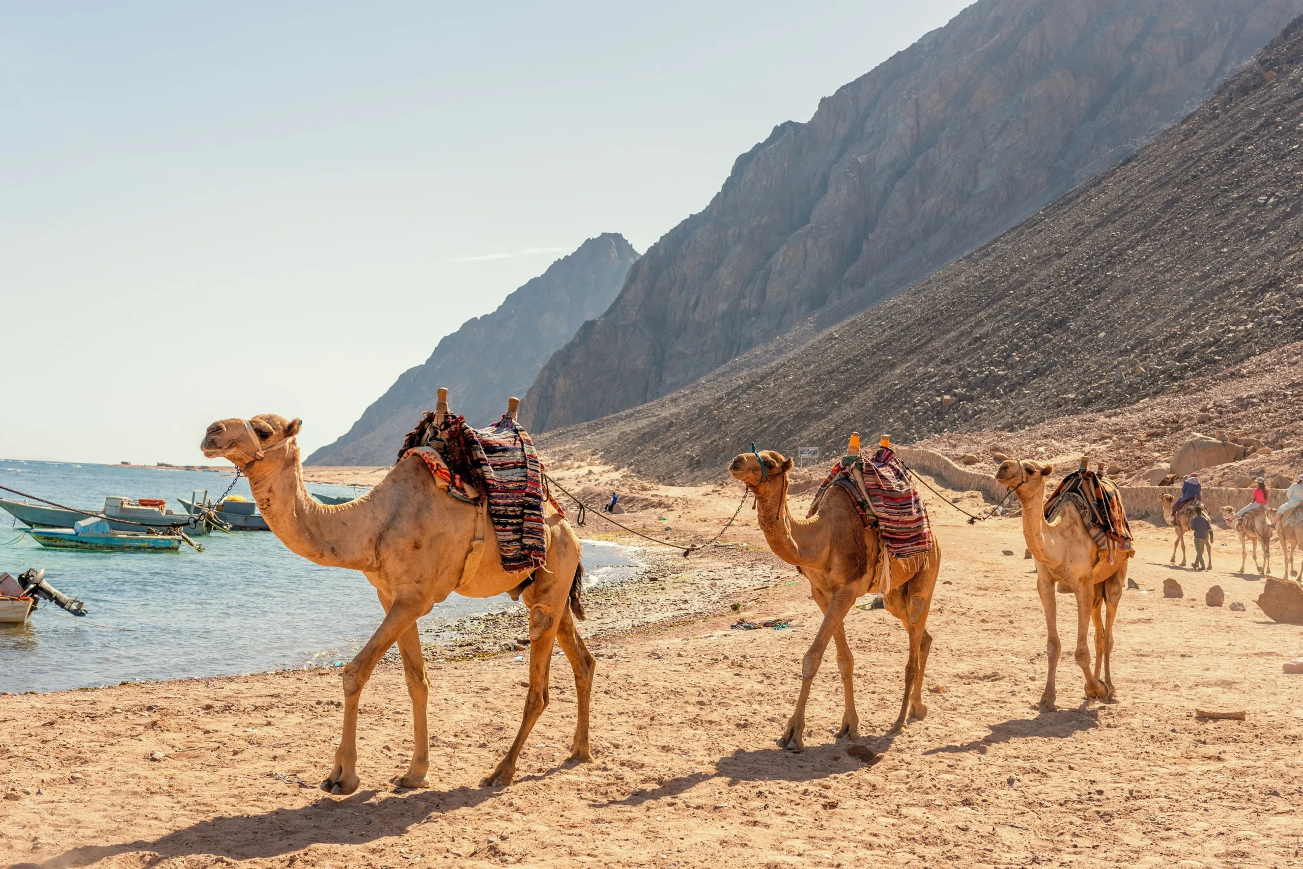 Best day trips from Sharm El Sheikh including Cairo, Luxor, Ras Mohammed and desert safari
