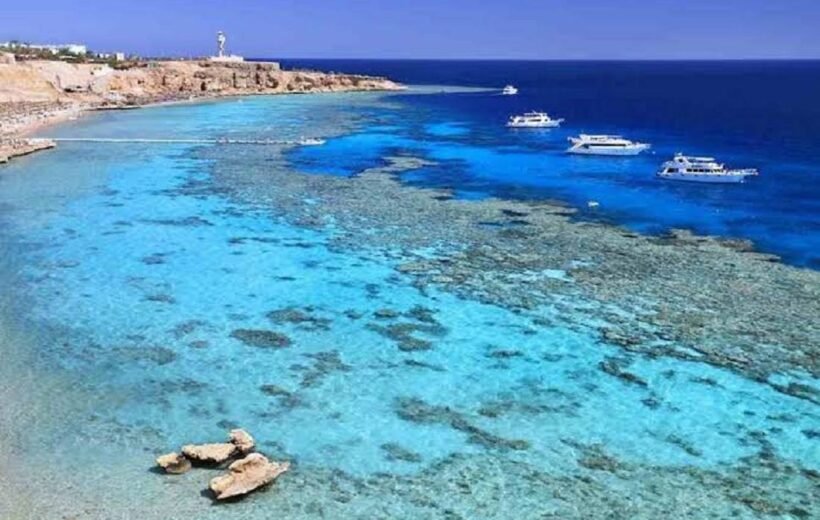 Tiran Island Snorkeling Tour from Sharm El Sheikh