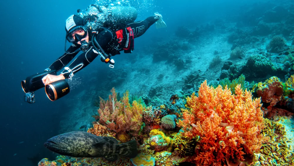 Dive Sites Marsa Alam