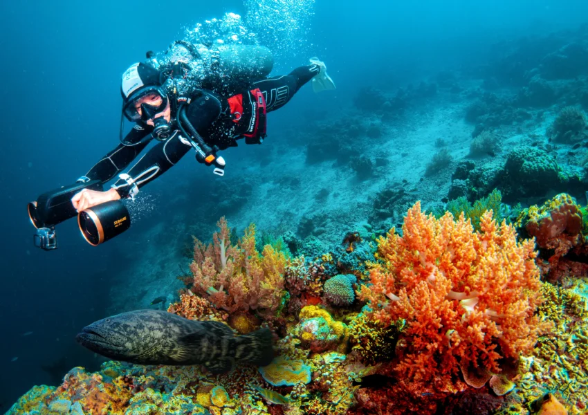 Dive Sites Marsa Alam