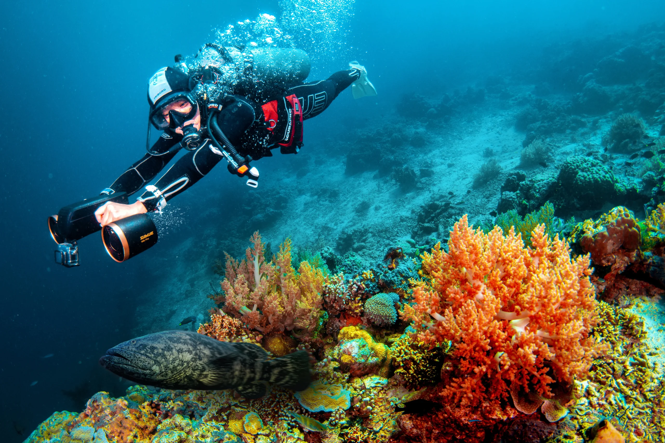Best dive sites in Marsa Alam with coral reefs, house reef diving, Elphinstone Reef, Dolphin House and Sataya