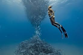 Freediving in Marsa Alam